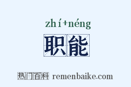 职能是什么意思的图片
